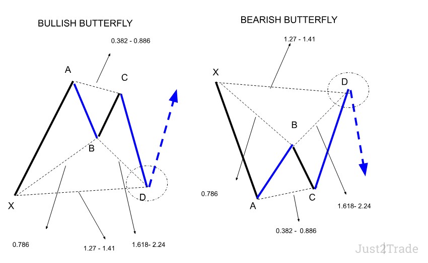 The Butterfly